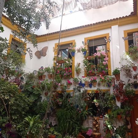 Patio Pozanco Villa Cordoba Dış mekan fotoğraf